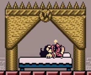 wario image