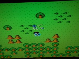 Walkure's Adventure_field