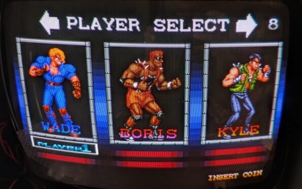 バイオレントストーム基板