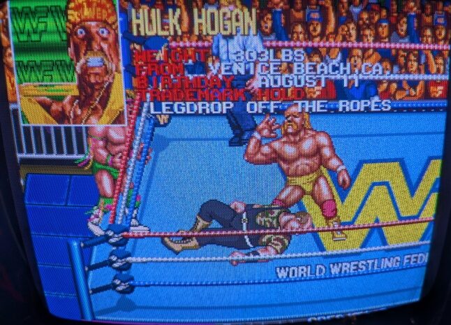 WWFレッスルフェスト基板