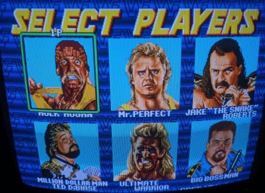 WWFレッスルフェスト基板